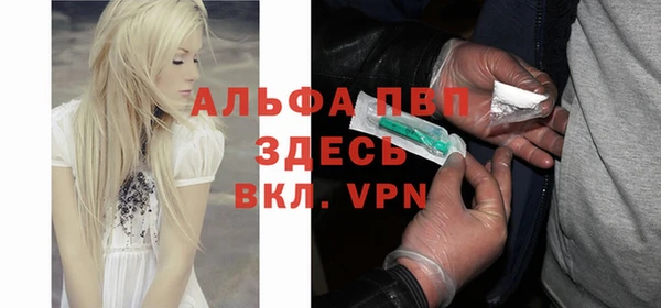 сатива Баксан