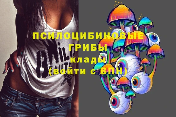 сатива Баксан