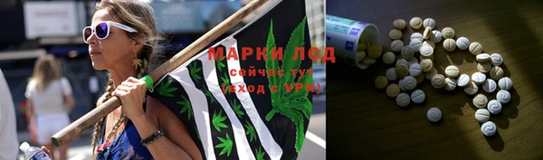 сатива Баксан