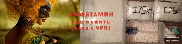 сатива Баксан