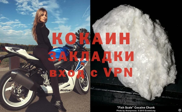 сатива Баксан