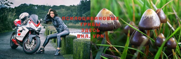 сатива Баксан